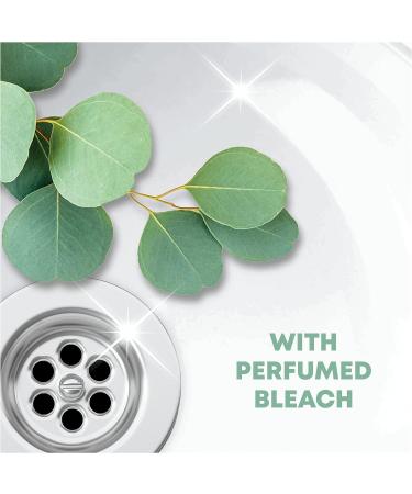 Viakal Limescale Remover Spray Fresh 5 Litre (500 ml x 10) & Flash Bleach Spray Multi Purpose Cleaner 8 Litres (800 ml x 10) Stain & Grease Remover Eucalyptus Scent - Buy Online on GoSupps.com
