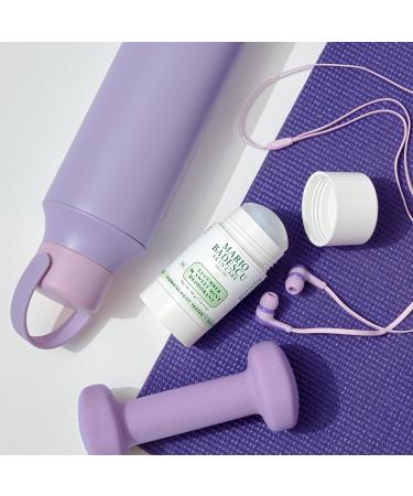 Mario Badescu Deodorant Infused with Skin-Loving Botanicals | Aluminum and Baking Soda-Free | Keeps Underarms Fresh All Day | For Daily Use | 2.4 FL. OZ Cucumber & Sweet Mint - Buy Online on GoSupps.com