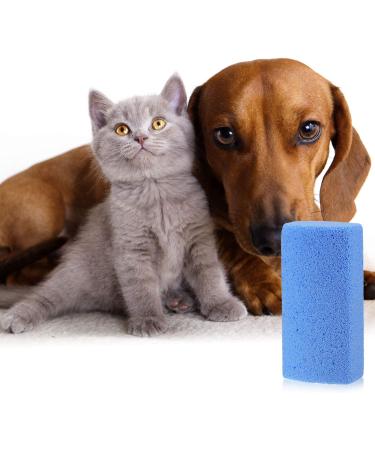 Mudder 6-Piece Pet Hair Remover Set | Pumice Stone Tool for Laundry & Furniture | Reusable & Easy to Clean | Blue | 4 Inch - Buy Online on GoSupps.com