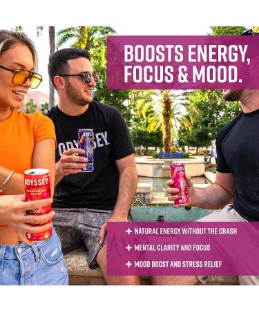 ODYSSEY ELIXIR - Sparkling Mushroom Energy Drink - Lions Mane & Cordyceps - Mental Focus & Stress Relief - Organic Caffeine - Adaptogens - Variety Pack - 12oz x 12 - Buy Online on GoSupps.com