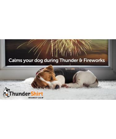 Thundershirt Dog Anxiety Jacket - Platinum | Size S | Effective Relief for Dog Anxiety | International Shipping Available - Buy Online on GoSupps.com