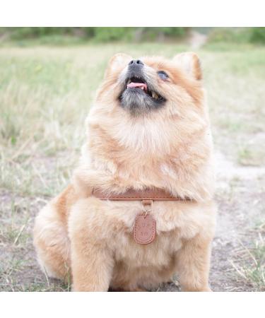 Muki & Co Adjustable Double Dog Dishes - Safe & Comfortable for XS Small & Medium Dogs - Brown (Size XS: 33-37 cm) - Buy Online on GoSupps.com