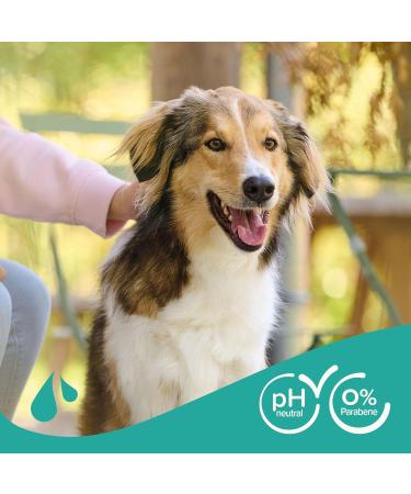 Beaphar Dog Shampoo for All Breeds - Macadamia Oil & Aloe Vera - Vegan Paraben-Free Fresh Fragrance - 250 ml for Shiny Coat - Buy Online on GoSupps.com