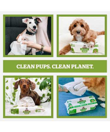 Pogis Care Cloths - 100 Biodegradable Desodorizing Wipes for Dogs - Extra Red Green Tea Fragrance - Buy Online on GoSupps.com