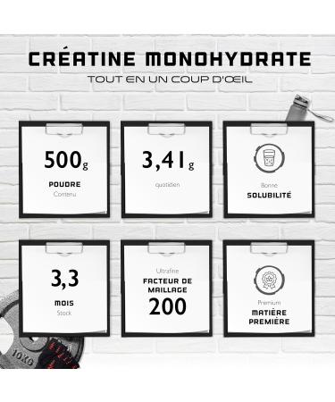 Creatine Powder - 500 g - Pure Creatine Monohydrate - Optimal Solubility - Vegan - No Additives - Pure Powder - German Elite Nutrition - Buy Online on GoSupps.com