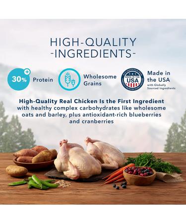 Blue Buffalo Wilderness High Protein Natural Adult Dry Dog Food - Grain-Free | Premium Nutrition - Buy Online on GoSupps.com