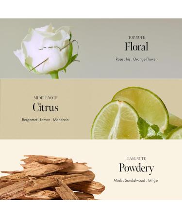 Rosy Night Repair Hair Ampoule Treatment | Protein & Peptide Complex for Damaged Hair | Musky Floral Scent Color Safe Silicone & Sulfate Free (200ml - Buy Online on GoSupps.com