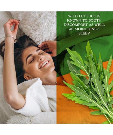 Parker Naturals Wild Lettuce Extract & California Poppy Seed Supplement 2 Way Premium Strength Herbal Supplement for Healthy Sleep & Relief Support 120 Capsules - Buy Online on GoSupps.com