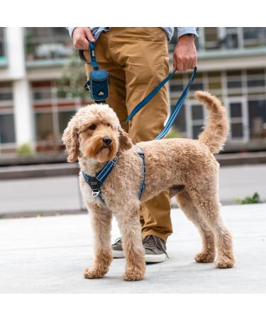 DOG Copenhagen Comfort Walk Air 3.0 Harness Classic Red - Size Medium - Buy Online on GoSupps.com