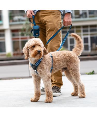 DOG Copenhagen Comfort Walk Air 3.0 Dog Harness - Classic Red XS | International Shipping Available - Buy Online on GoSupps.com
