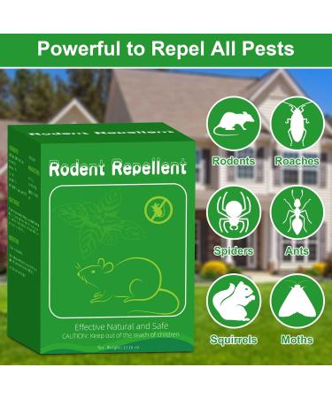 12 Pack Natural Peppermint Oil Rodent Repellent Balls - Safe Pest Control for Mice, Rats, Roaches, Moles, Squirrels, Ants, Moths - Indoor & Outdoor Use - Pet & Kid Safe - Buy Online on GoSupps.com