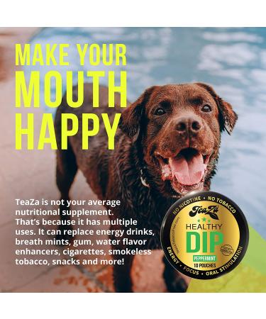 Teaza Herbal Energy Pouch Bundle - Peppermint & Spicy Cinnamon Flavor, Tobacco Replacement - 4 Pucks - Buy Online on GoSupps.com