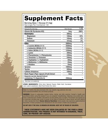 GRIZZLY AMINOS & NOOTROPICS STRAWBERRY KIWI Endurance Recovery Focus EAA Amino Acids Tyrosine - Buy Online on GoSupps.com