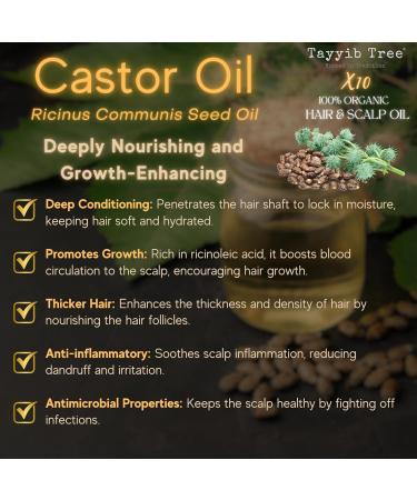 Hair & Scalp 10-Oil Blend Made in UK - Organic Rosemary Castor Amla Bhringraj Black Seed Jojoba Neem Olive Cedarwood & Lavender - Frizz Hair Loss Thinning Dandruff For All Hair Types - Buy Online on GoSupps.com