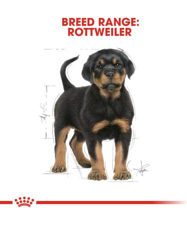 ROYAL CANIN Rottweiler Puppy - 3 kg - Buy Online on GoSupps.com