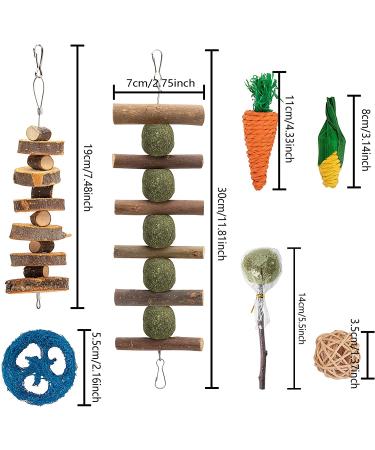 EBaokuup Bunny & Hamster Chew Toys for Dental Health - 100% Natural Apple Wood Grass Ball String Carrot Toys - Ideal for Chinchillas, Guinea Pigs, Hamsters - 18PCS - Buy Online on GoSupps.com