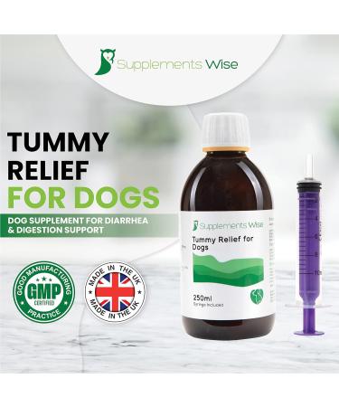Tummy Relief for Dogs - Fast-Acting Diarrhea Treatment & Stomach Settler - Gut Health Supplement - Liquid Medicine for Upset Stomach - 250ml - Buy Online on GoSupps.com
