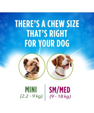 DentaLife ActivFresh Dog Treats for Mini Breed Dogs - 479 g Pouch (1 Pack) 479 g (Pack of 1) - Buy Online on GoSupps.com