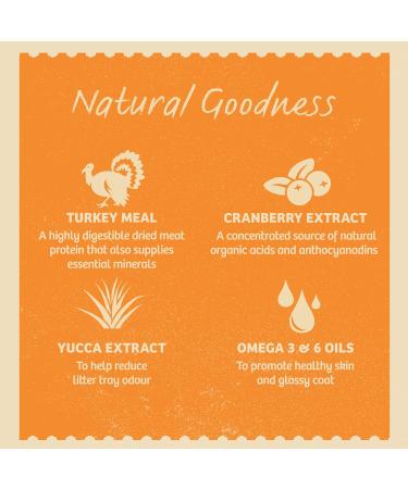 James Wellbeloved Kitten Turkey 4 kg Bag Hypoallergenic Dry Cat Food Turkey (Old Design) 4 kg (Pack of 1) - Buy Online on GoSupps.com