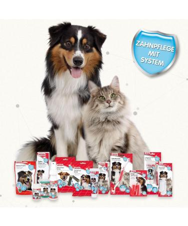 BEAPHAR Dental Care Fingerling for Dogs & Cats - 2 Pack | Effective Plaque Removal & Teeth Cleaning - Buy Online on GoSupps.com