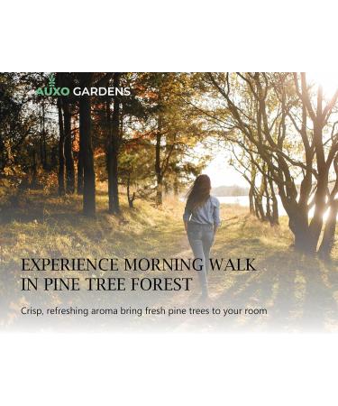 Pine Needle Essential Oil 1oz (30ml) -100% Natural and Pure Premium Quality Therapeutic Grade Essential Oil for Aromatherapy-Crisp Refreshing and Uplifting Pine Needle 1 Fl Oz (Pack of 1) - Buy Online on GoSupps.com