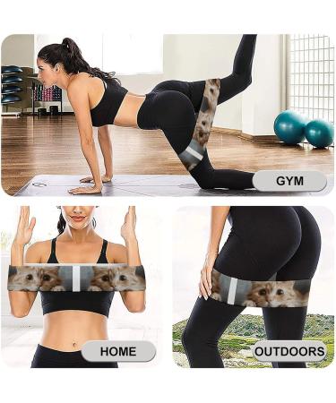 Buy Resistance Bands - Fabric Exercise Bands for Home Workouts & Fitness | International Shipping Available - Buy Online on GoSupps.com