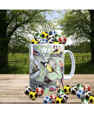 British Garden Birds Personalised Mug with Choice of Sweets Gift - Buy Online on GoSupps.com