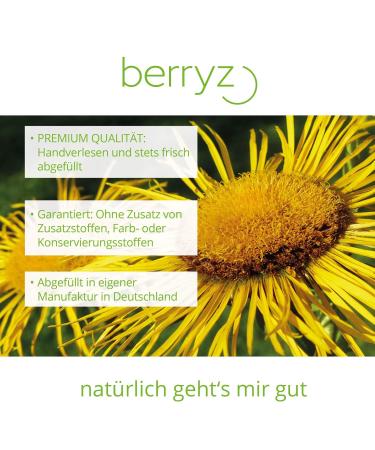 Dried Elecampane Root 200g | Hildegard von Bingen | Herbal Tea for Wellness | International Shipping Available - Buy Online on GoSupps.com