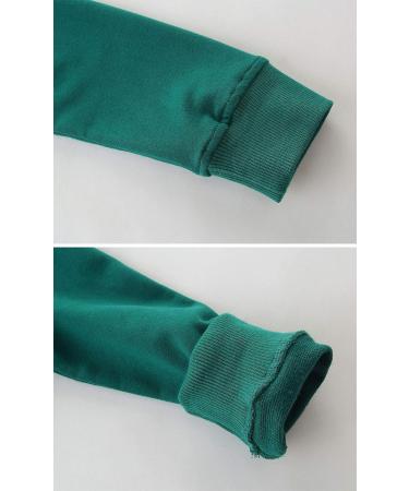 Dinosaur Boys Sweatshirt | Cotton Long Sleeve Jumper for Kids | Toddler Girls Baby Clothes 1-8 Years | Green 2-3 Years - Buy Online on GoSupps.com