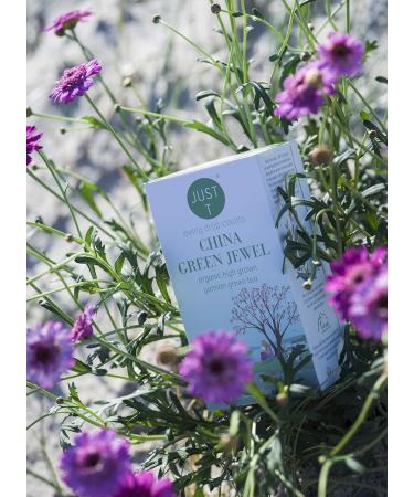 China Green Jewel Premium Double Chamber Tea Bags - 20 pcs Organic Yunnan Blend | Biodegradable Grown Leaf Tea for Tea Lovers - 1 Pack - Buy Online on GoSupps.com