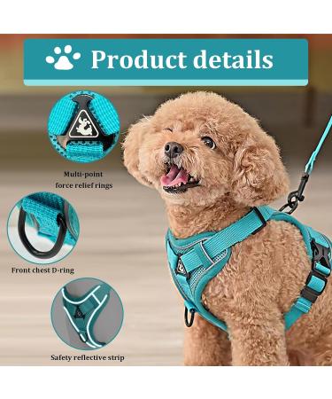 Fineasy Cat Dishes with Adjustable Leash - Outbreak-Proof Harness & Soft Cat Kitten Dog Breastware (Green S) | Shop Internationally - Buy Online on GoSupps.com