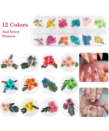 48 Colors Butterfly Glitter Nail Art Dried Flowers - 3D Holographic Sequins for DIY Crafting & Decoration - Buy Online on GoSupps.com
