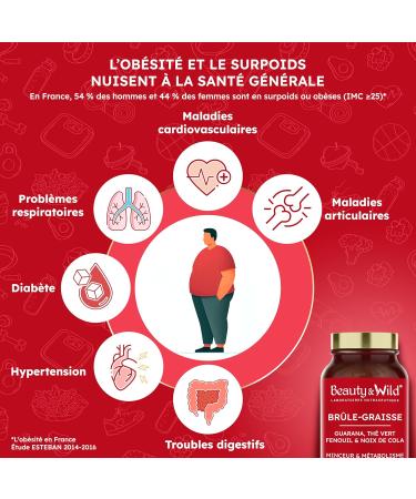 Br leur de Graisse Naturel Puissant Guarana Th Vert Noix de Cola Fibres d Acacia & Fenouil 120 G lules Compl ment Minceur D tox & Drainage Fabriqu en France - Buy Online on GoSupps.com