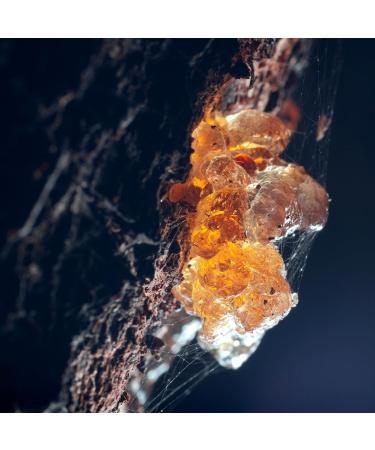 Ana Arabic - I am Arab100ml Eau de Parfum Unisex Fragrance for Men and Women | Haitia Vetiver Spicy Woody Aromatic Scent - Buy Online on GoSupps.com