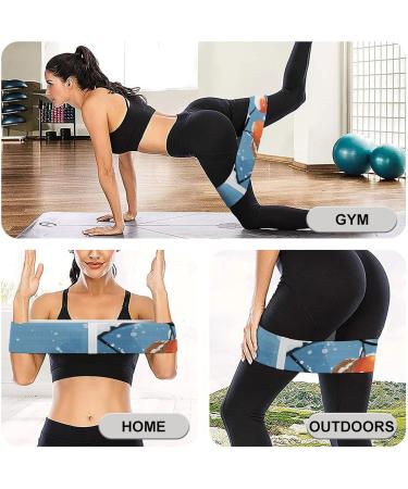 Shop Resistance Bands - Stylish Two Orange Birds Printed Elastic Leg Bands for Effective Workouts | Premium Fabric Fitness Bands - Buy Online on GoSupps.com