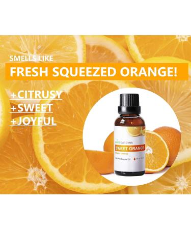 Sweet Orange Essential Oil 1 oz - 100% Pure & Natural | Therapeutic Grade Italian Orange Oil - Premium Quality - Buy Online on GoSupps.com