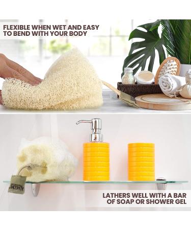 Natural Egyptian Shower Loofah Sponge Body Scrubber - 3 Count (1 Pack) - Buy Online on GoSupps.com