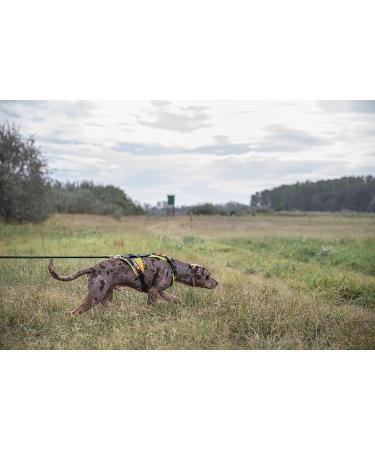 Buy Julius-K9 Mantrailing & Outdoor Dog Harness - Size M UV Orange with Neon Edge | International Shipping Available - Buy Online on GoSupps.com
