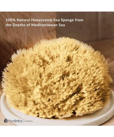 Hydrea London Natural Sea Sponge 5-5.5"- Premium Mediterranean Honeycomb Unbleached Natural Sponge for Bath and Shower for Adults Women Men Children and Baby - Buy Online on GoSupps.com