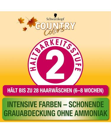 Country Colors Intensive Tint 70 Brazil Dark Brown - Ammonia-Free Hair Color | 3 x 123ml | Lasts 8 Weeks - Buy Online on GoSupps.com