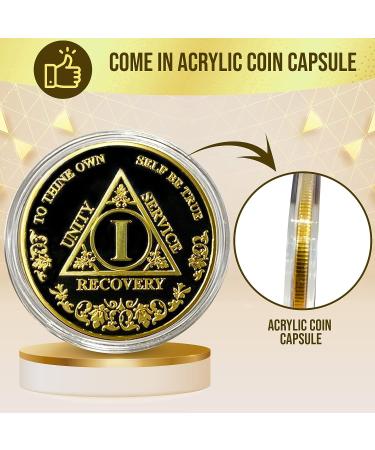 1 Year Sobriety Coin | AA Medallion for Alcoholics Anonymous Recovery - Buy Online on GoSupps.com