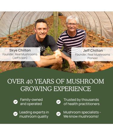 Real Mushrooms Turkey Tail Capsules Organic Mushroom Extract for Daily Wellness, Gut Harmony, Energy Support Vegan, Non-GMO, No Fillers Turkey Tail Extract 200 Count Mushroom Supplement - Buy Online on GoSupps.com