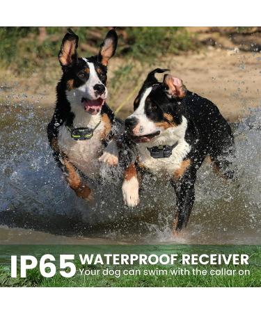 New Classic Dog Collars - Nylon Waterproof & Breathable Perfect for All Sizes | Shop Now! - Buy Online on GoSupps.com