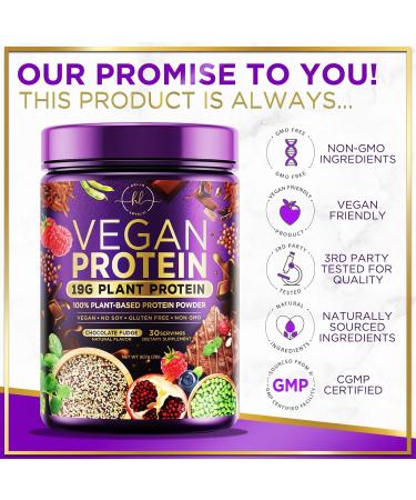 Vegan Protein Powder - Chocolate Fudge | 100% Plant-Based 3.4g BCAAs Non-GMO Easy Digesting 2 lbs (30 Servings - Buy Online on GoSupps.com