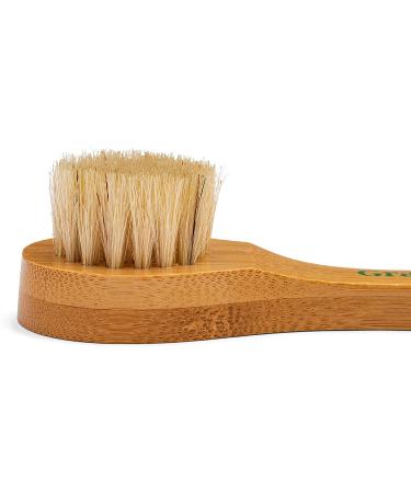 GranNaturals Manual Facial Brush - Natural Bristles for Exfoliation & Lymphatic Drainage, Wooden Handle - Gentle Pore Cleansing for Glowing Skin - Buy Online on GoSupps.com