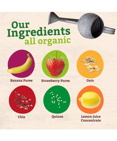 Pumpkin Tree Organics Super Oats & Seeds  Banana & Strawberry 40 Ounce (Pack of 10) - Buy Online on GoSupps.com