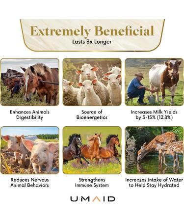 UMAID 6 lbs Himalayan Animal Lick Salt On Rope for Horses, Deer, Livestock - 2 Count - Buy Online on GoSupps.com