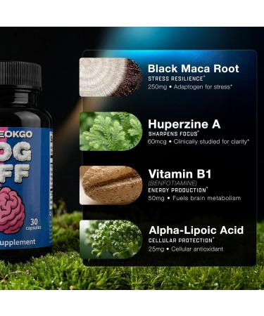 FOG OFF Brain Nootropic Supplement - Focus Pills for Memory Clarity & Energy - Vitamin B1 Black Maca Root L-Glutamic Acid Phosphatidylserine 5-HTP Alpha-Lipoic Acid Huperzine-A - Buy Online on GoSupps.com
