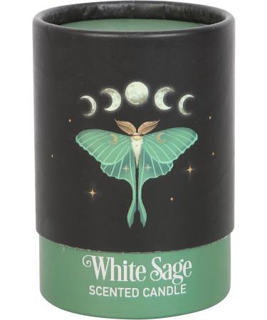 Luna Moth White Sage Candle - Vegan Paraffin Wax | 25-Hour Aromatherapy | Sacred Creatures for Soothing Home Ambiance - Buy Online on GoSupps.com