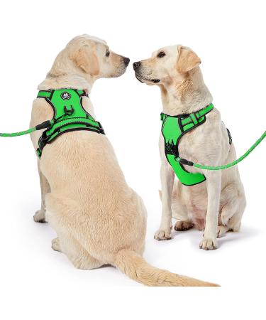 Nestroad Large Dog Harness & Leash Set - Green Adjustable Fit for Large Dogs Includes Car Seat Belt - Perfect for Neck 38-48cm & Chest 48-74cm - Buy Online on GoSupps.com